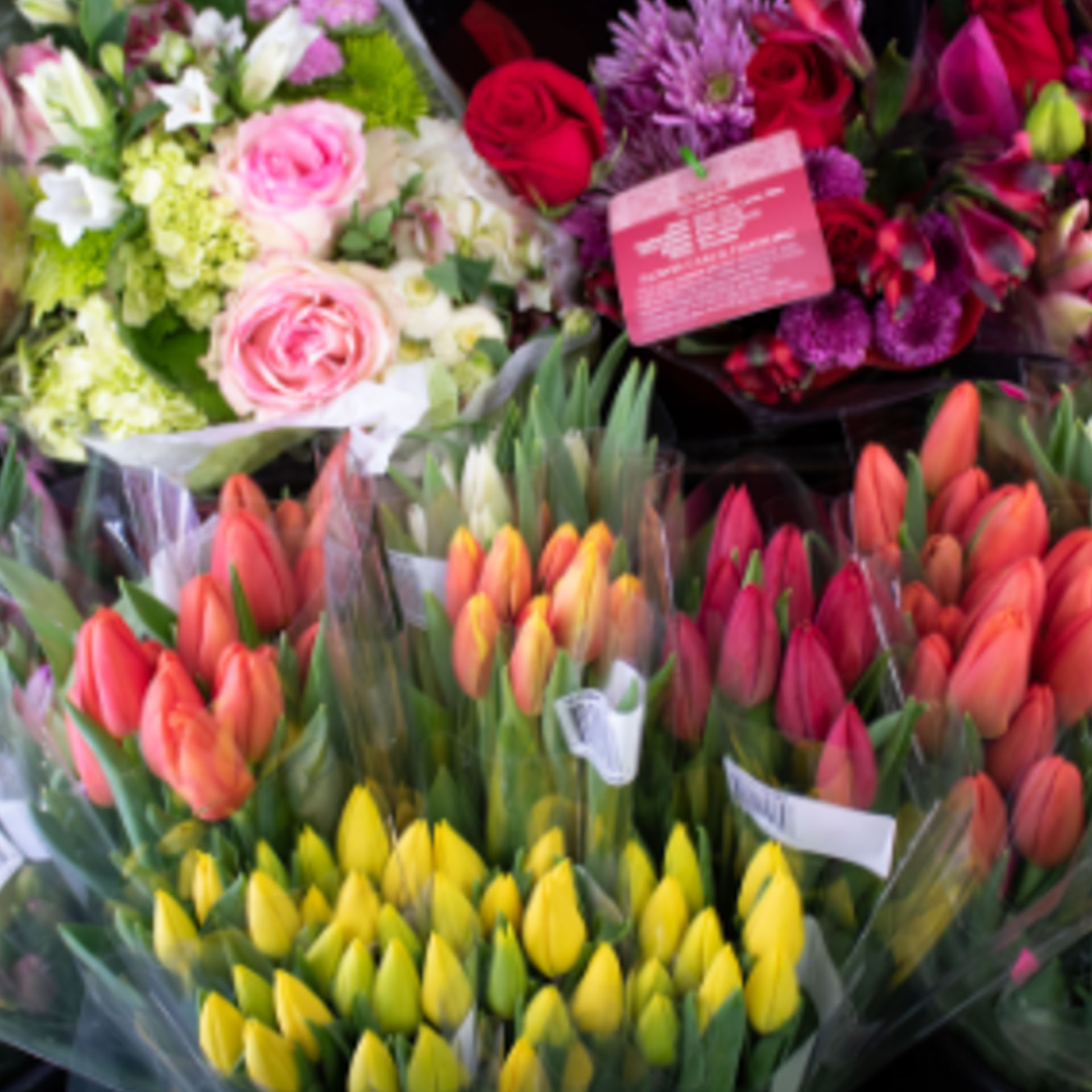 Holiday Market Royal Oak Tulip Bouquets
